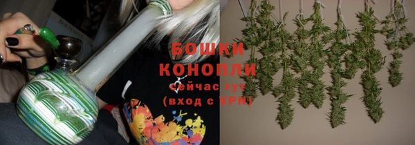 СК Гусиноозёрск